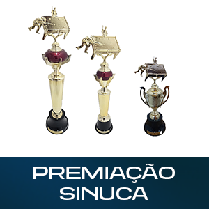 PREMIAÇÃO SINUCA
